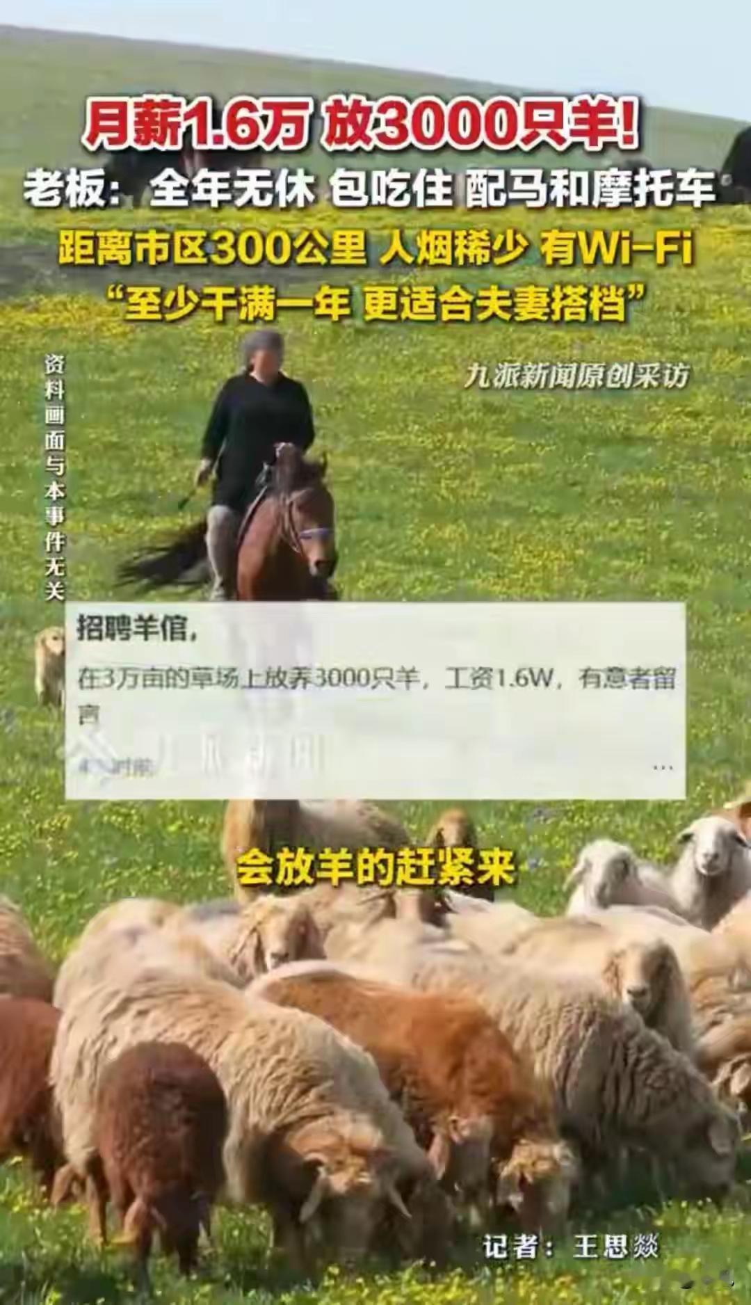 已筛选出2对夫妻别看这种活儿月薪挺高 但是能抗住的不是一般人。

就这个环境是很