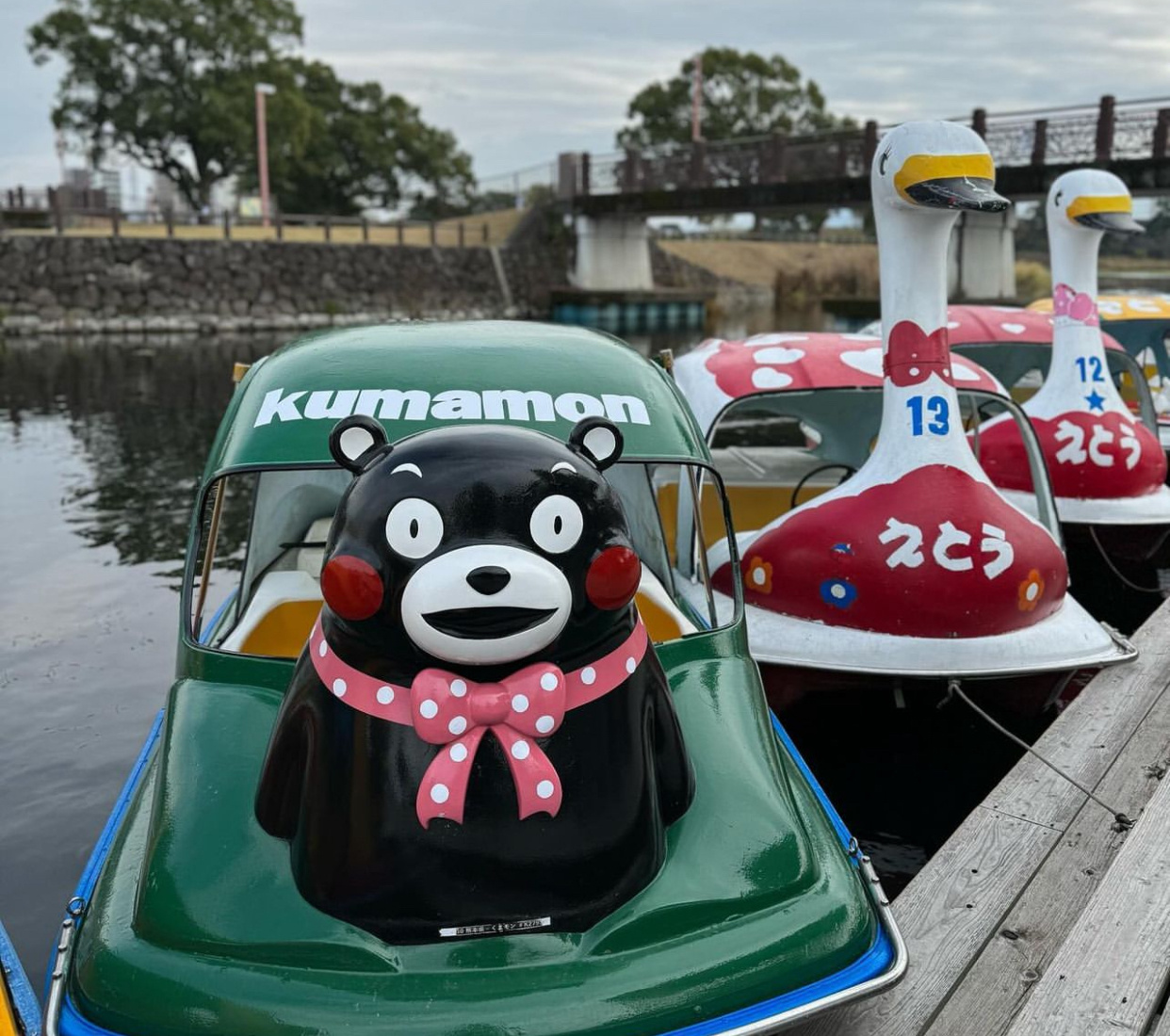 好可爱，好想玩[爱你][爱你]（图源自ins ​​​