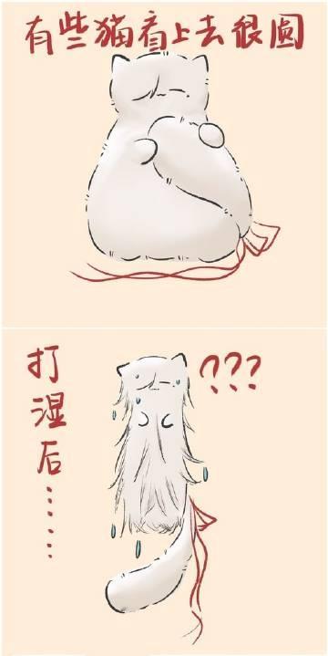 就说嘛，景元元也就是看着胖，实际上只是毛厚，不过这尾巴是怎么回事[doge]#崩