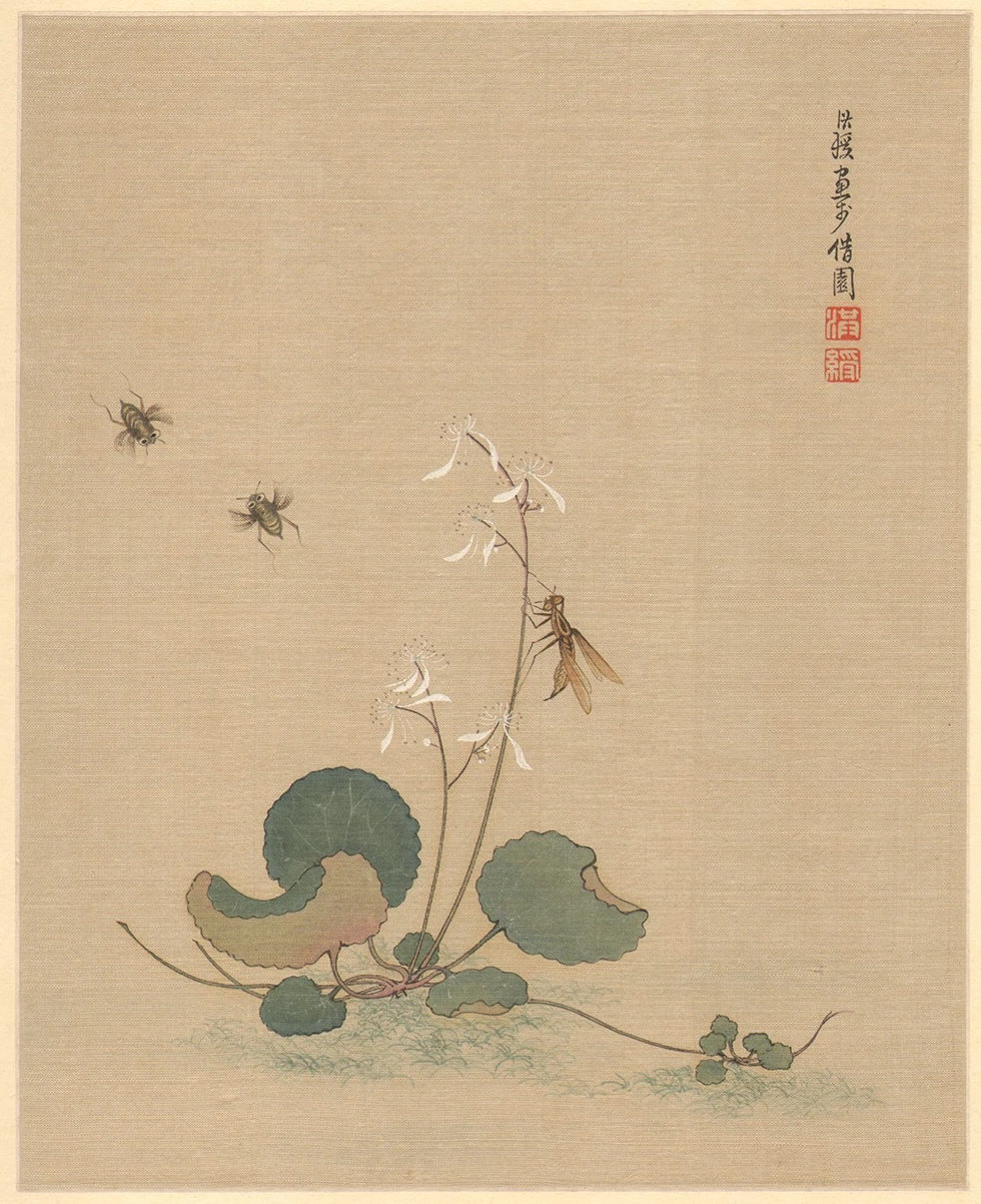 明·陈洪绶花鸟草虫册陈洪绶（1599年—1652年）字章侯，幼名莲子，一名胥岸，