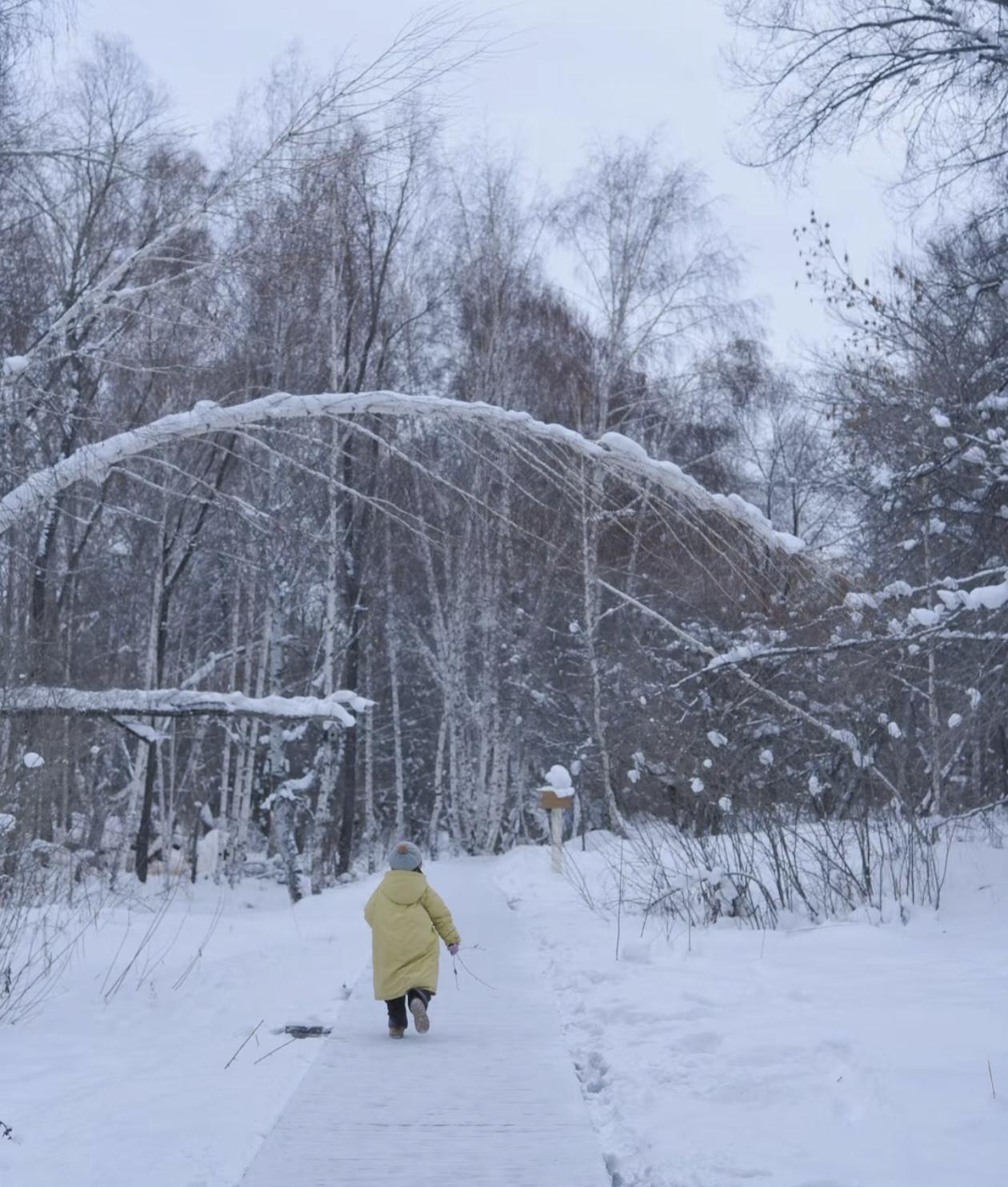 五岁的她被父亲抛弃在雪地，首富将她捡回家，成了她的新爸爸。

那个冬天冷得刺骨，