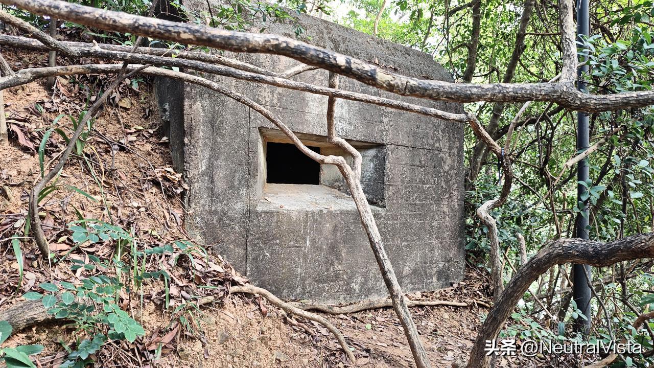 深圳笔架山碉堡是抗日战争时期日军侵华遗迹，是其在深港边境修建军事封锁线的一部分。