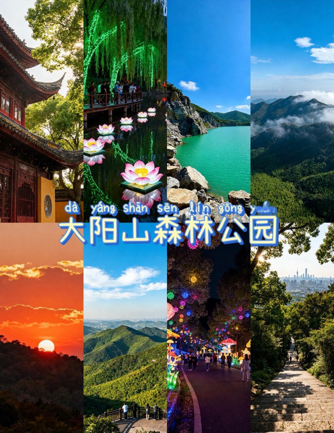 大阳山国家森林公园一日游
📍苏州 大阳山国家森林公园
游玩路线
✅徒步挑战线：