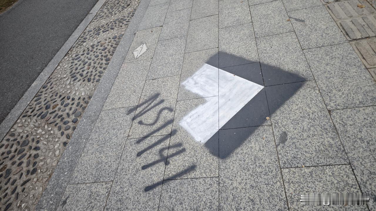 南沙最近路边出现神秘的标志，一个黑色加白色的三角箭头，旁边有写着 NS +数字的