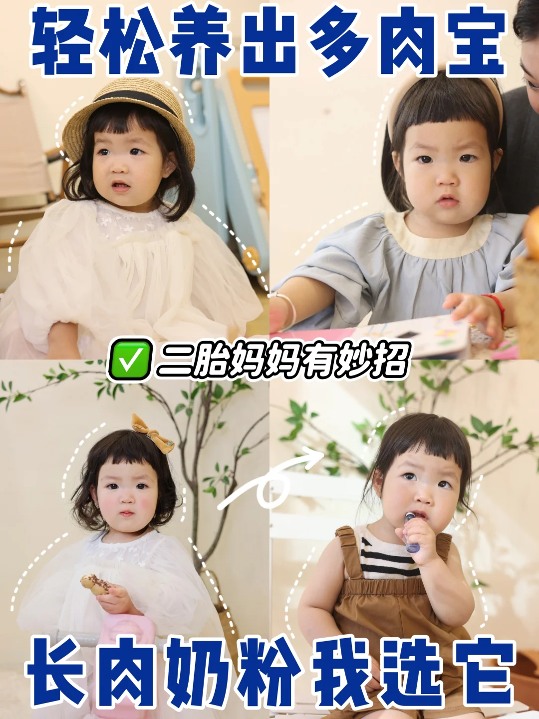 轻松养出多肉宝，长肉奶粉我选它