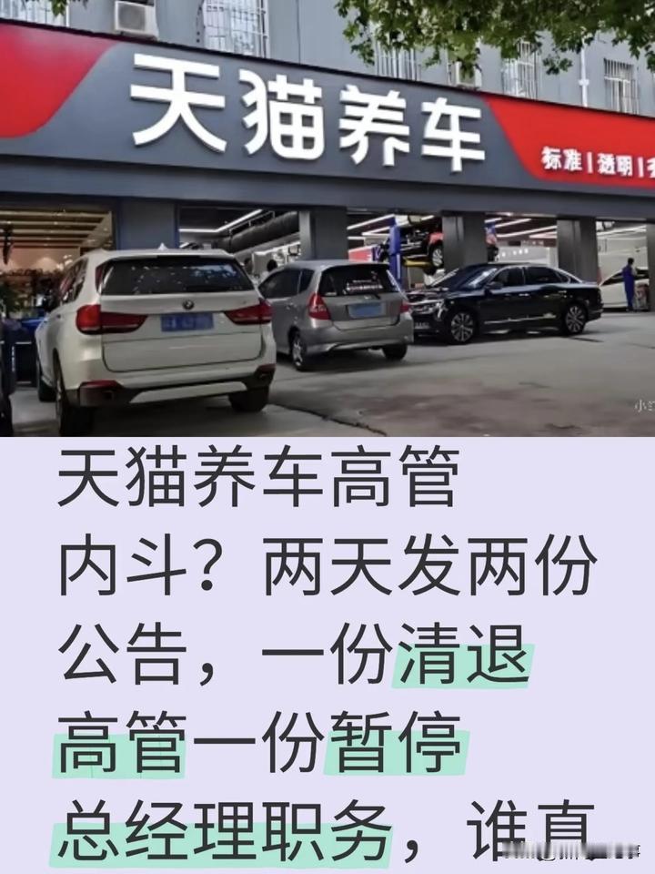 一直没看明白天猫养车，线下的个体户经营个修车行，挂上天猫养车的招牌，就成了天猫业