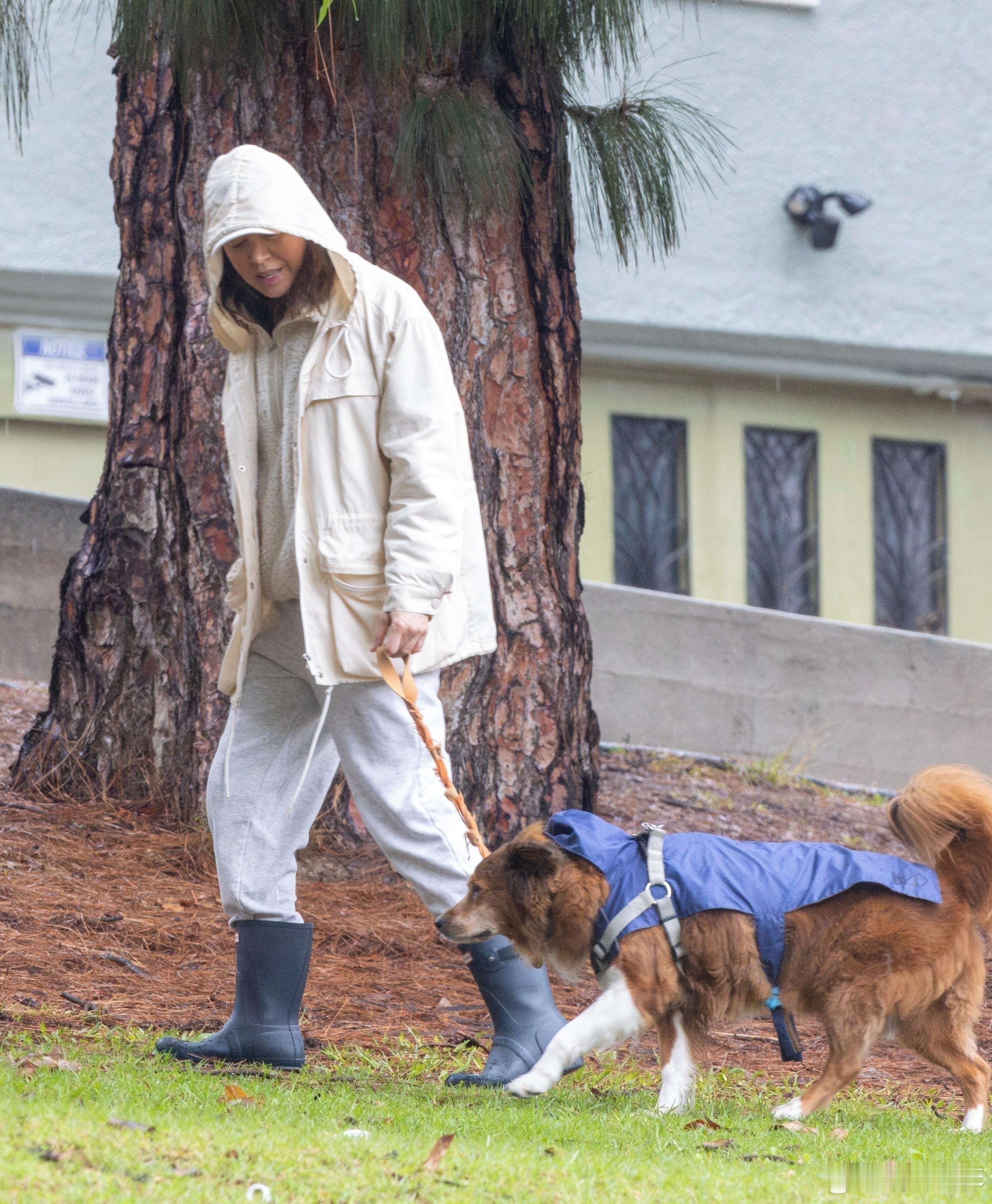 【高清】奥布瑞·普拉扎2月13日外出遛狗。 Aubrey Plaza  was 