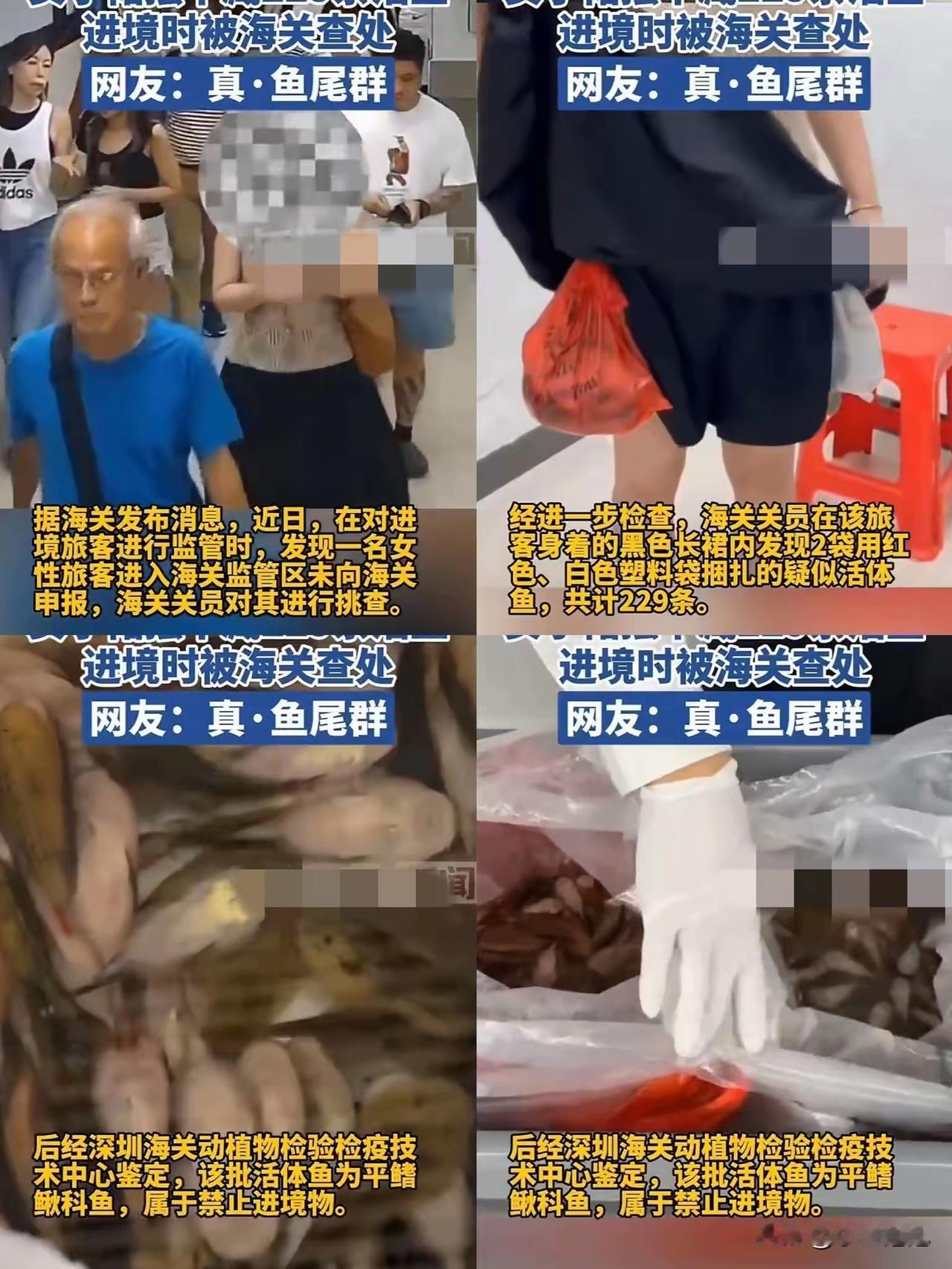 这操作真把人看呆了！
不光深圳刷屏，全国网友都在说这离谱事，一女的居然把229条