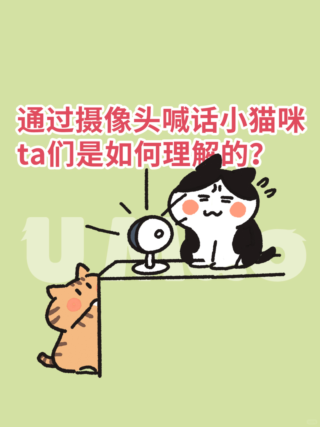 通过摄像头喊话小猫咪，ta们是如何理解的？