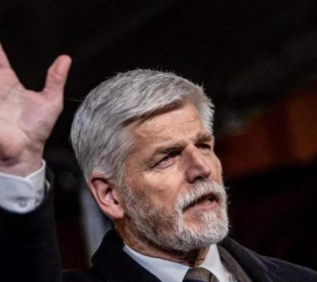 捷克总统帕维尔一句“断交”，直接把中捷十年的合作账本撕成废纸，这哪是外交操作，分