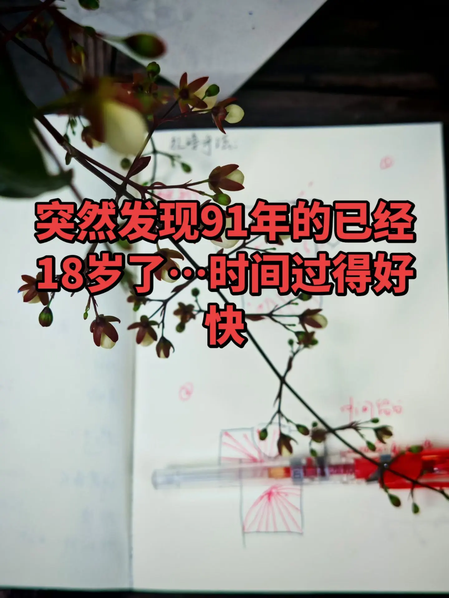 九一年的已经18岁了，时间过得好快