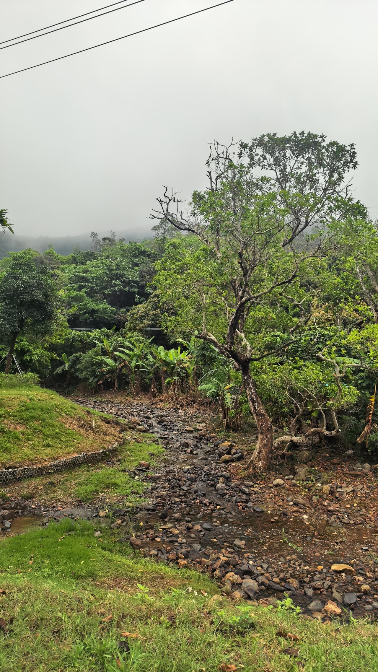 明天开盘拉，目前还是很复杂。
真真假假的消息太多，让人应接不暇。
说实话，这次真