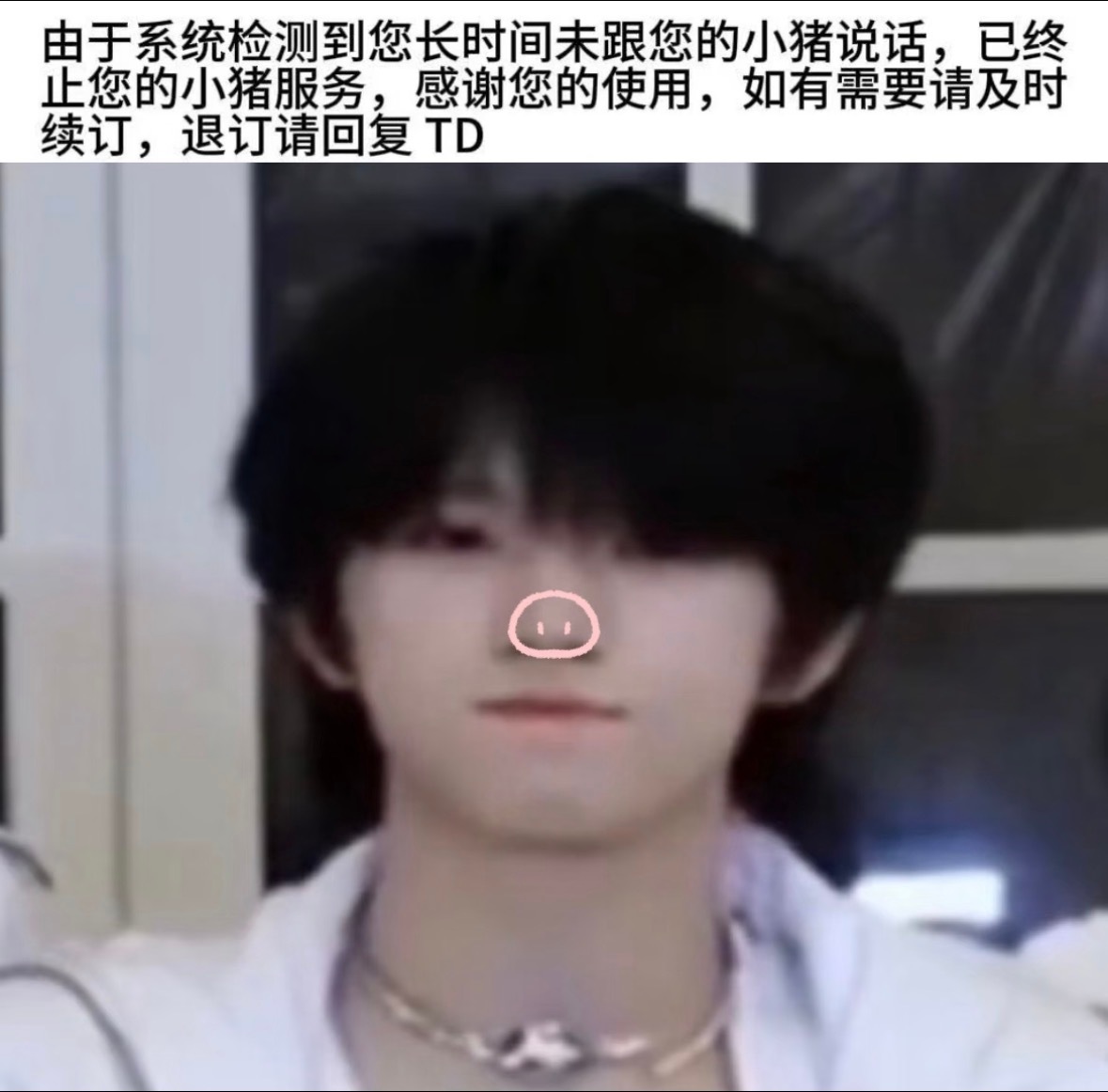 小猪咪我啃鼠他 