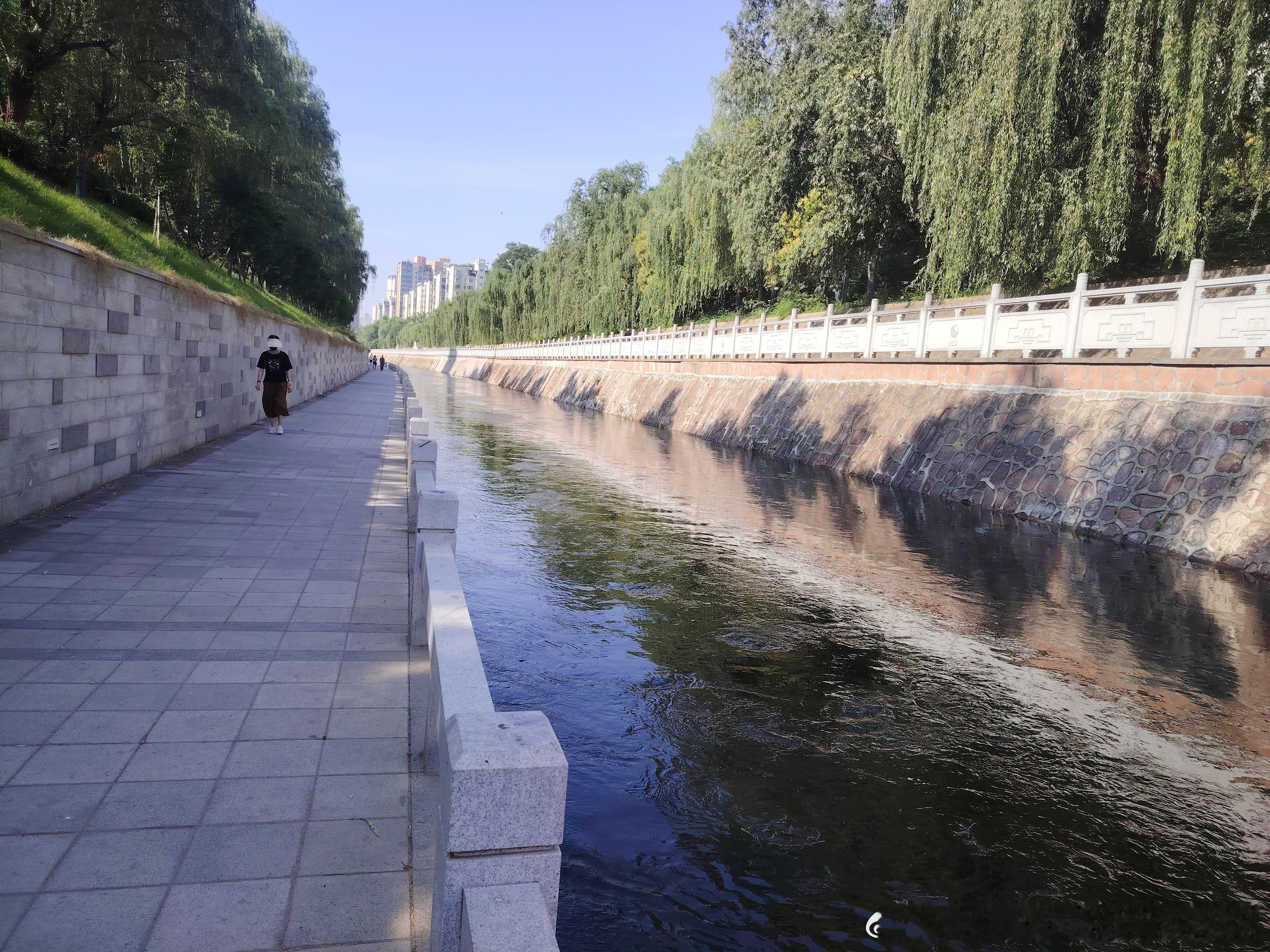 上午跑湖八公里。 