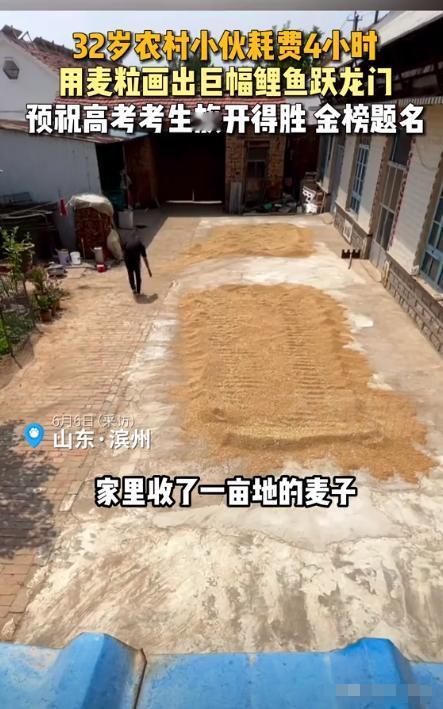 6月6日，山东滨州一农户将家里一亩多麦子收了以后，看着院子里的麦子，32岁小伙子