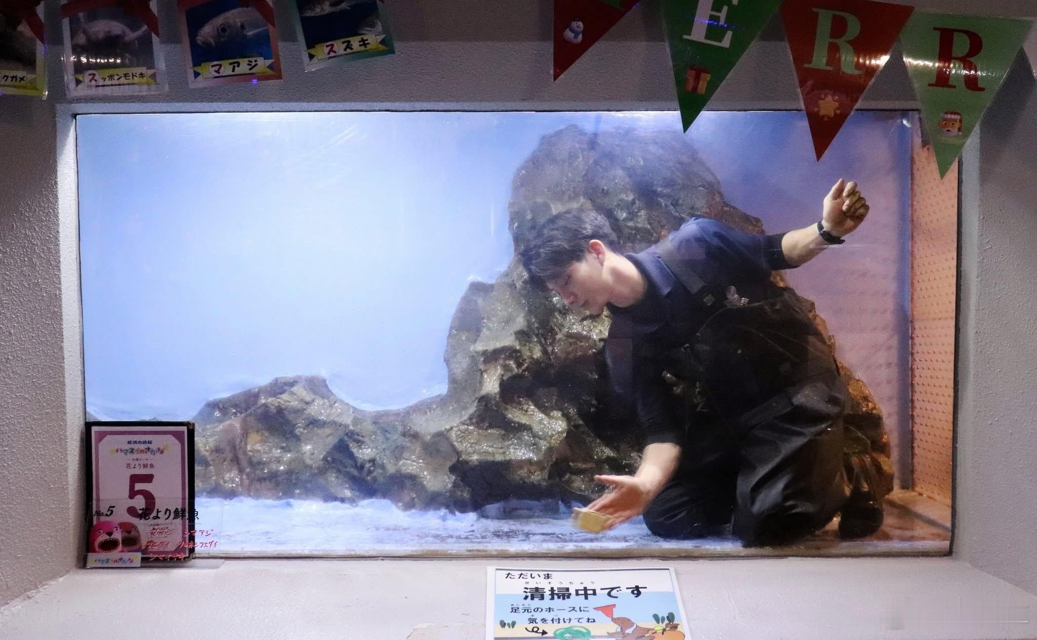 主管：清洁期间入馆人次暴增10倍，你有没有什么头绪？请勿拍打尖叫会吓到他水族馆内