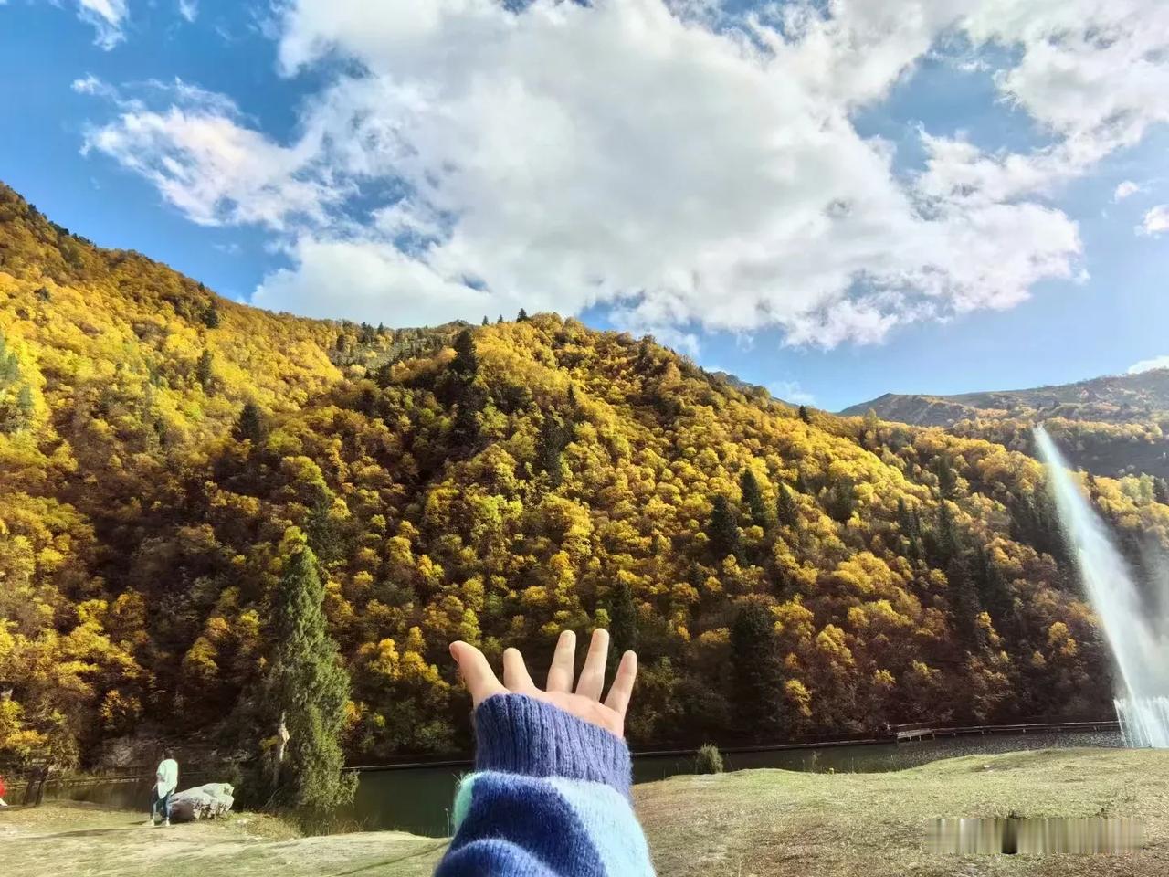 秋天的故事讲述大自然的法则[心]

#醉美中秋赏味指南#