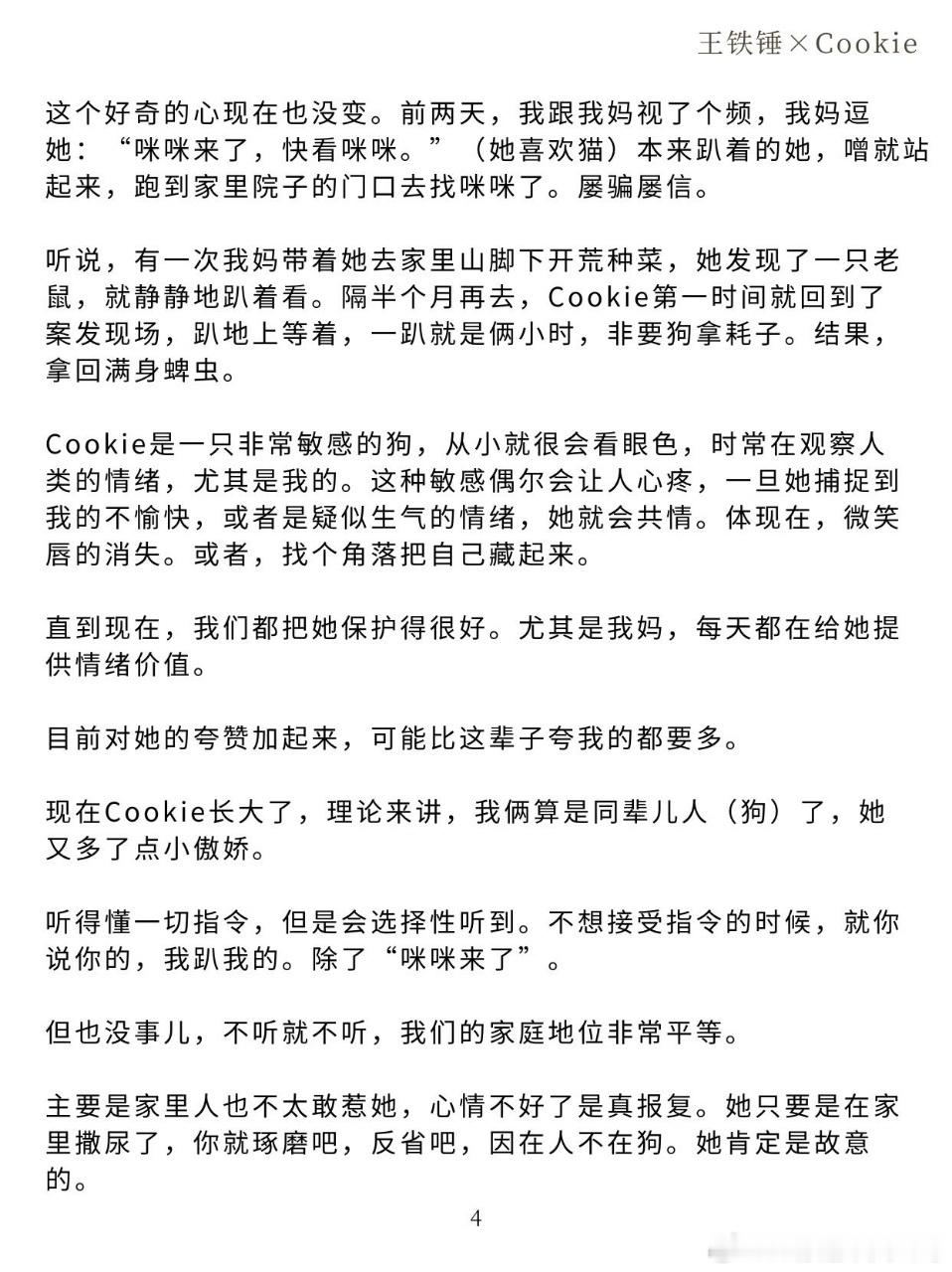 王勉求女心切王勉被五哈团队问烦了陈赫晒合照为王勉庆生 王勉说自己接cookie时