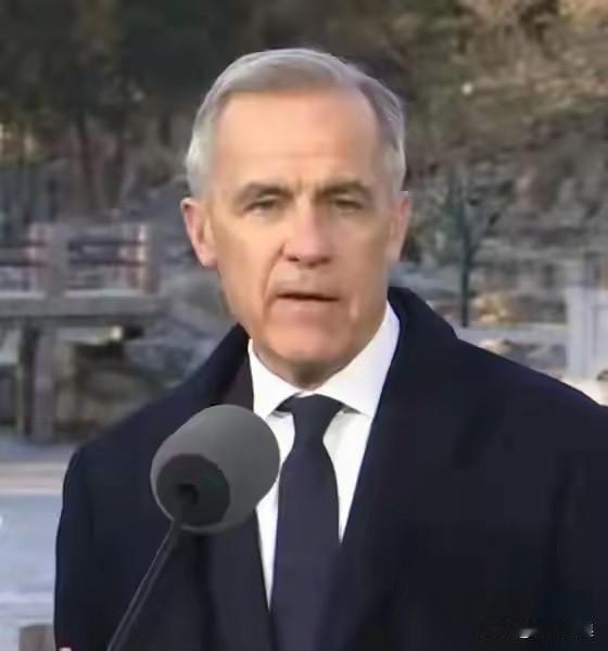 加拿大总理来访！

正在中国访问的意大利总理卡尼，展现出合作的诚意，此举无疑会触