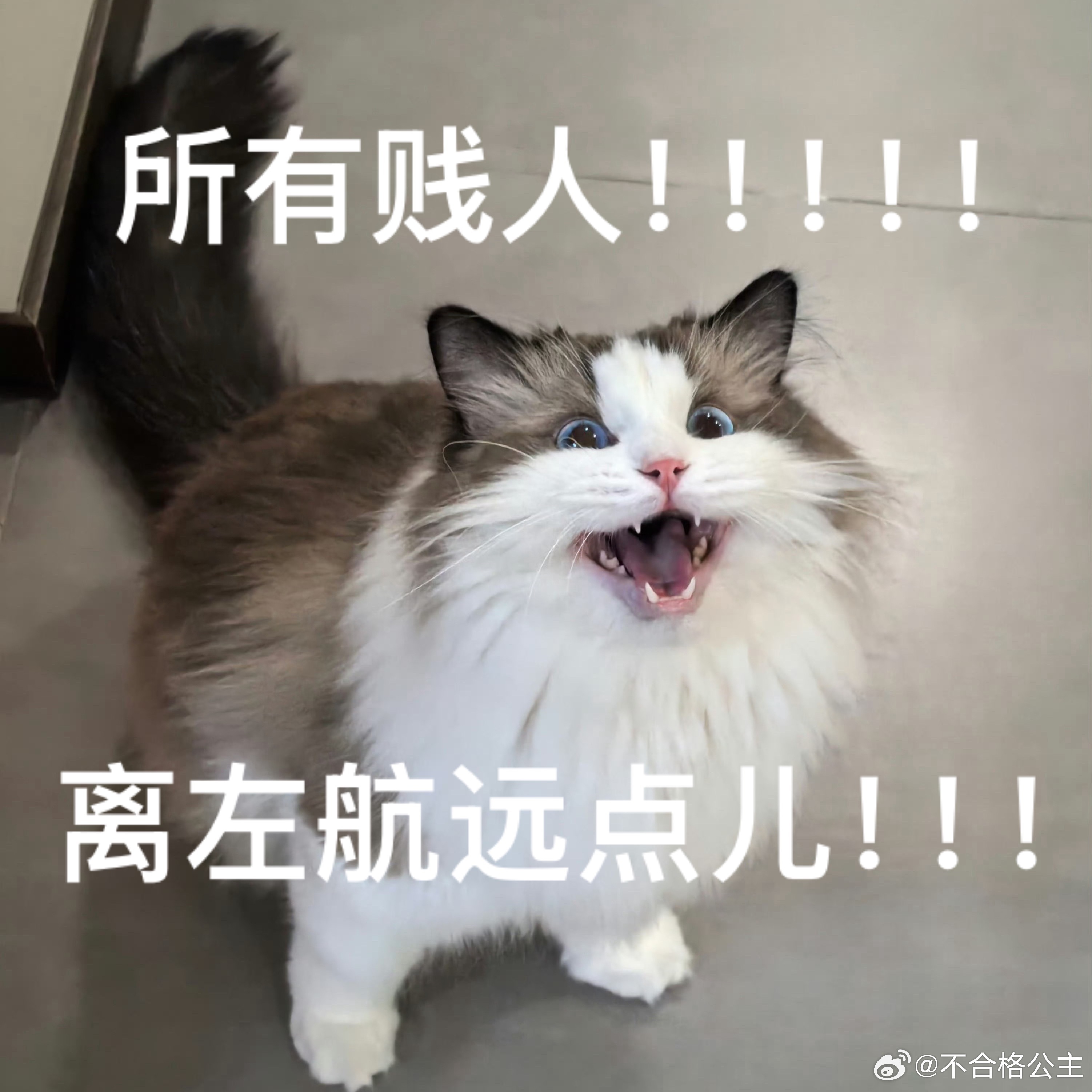 唉我真的笑哭了，我觉得我家肥米头像实在太好用啦，我家宝子最近真是犯太岁了，天天的