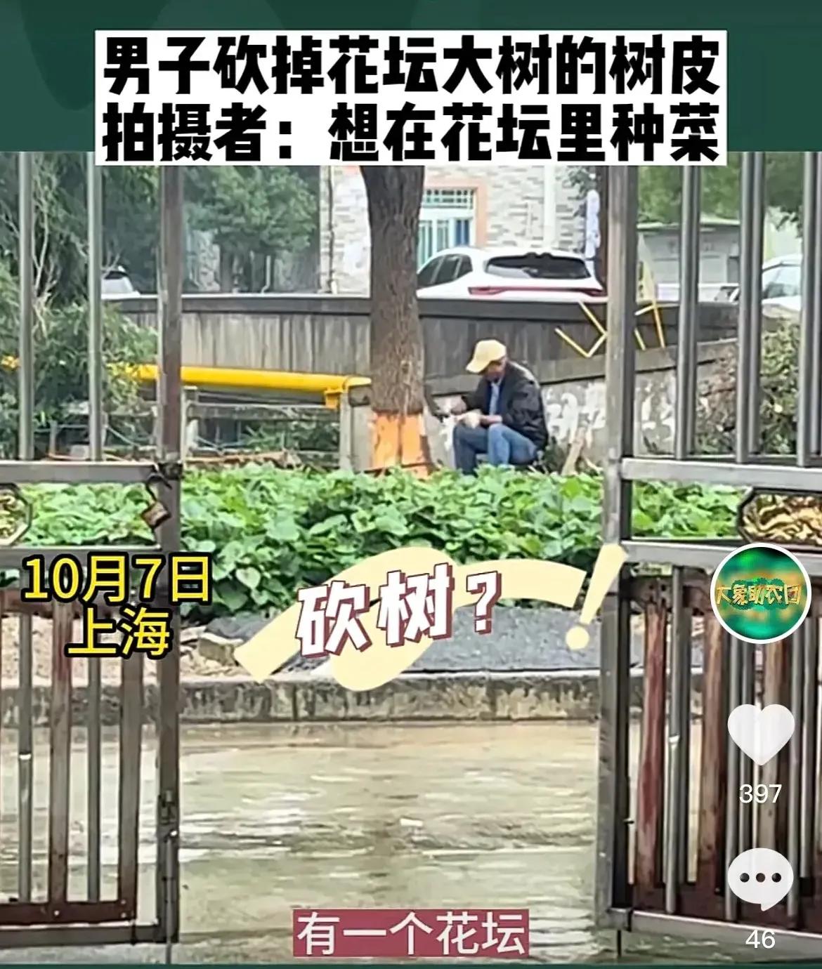 为种自己的菜而砍树

无人制止