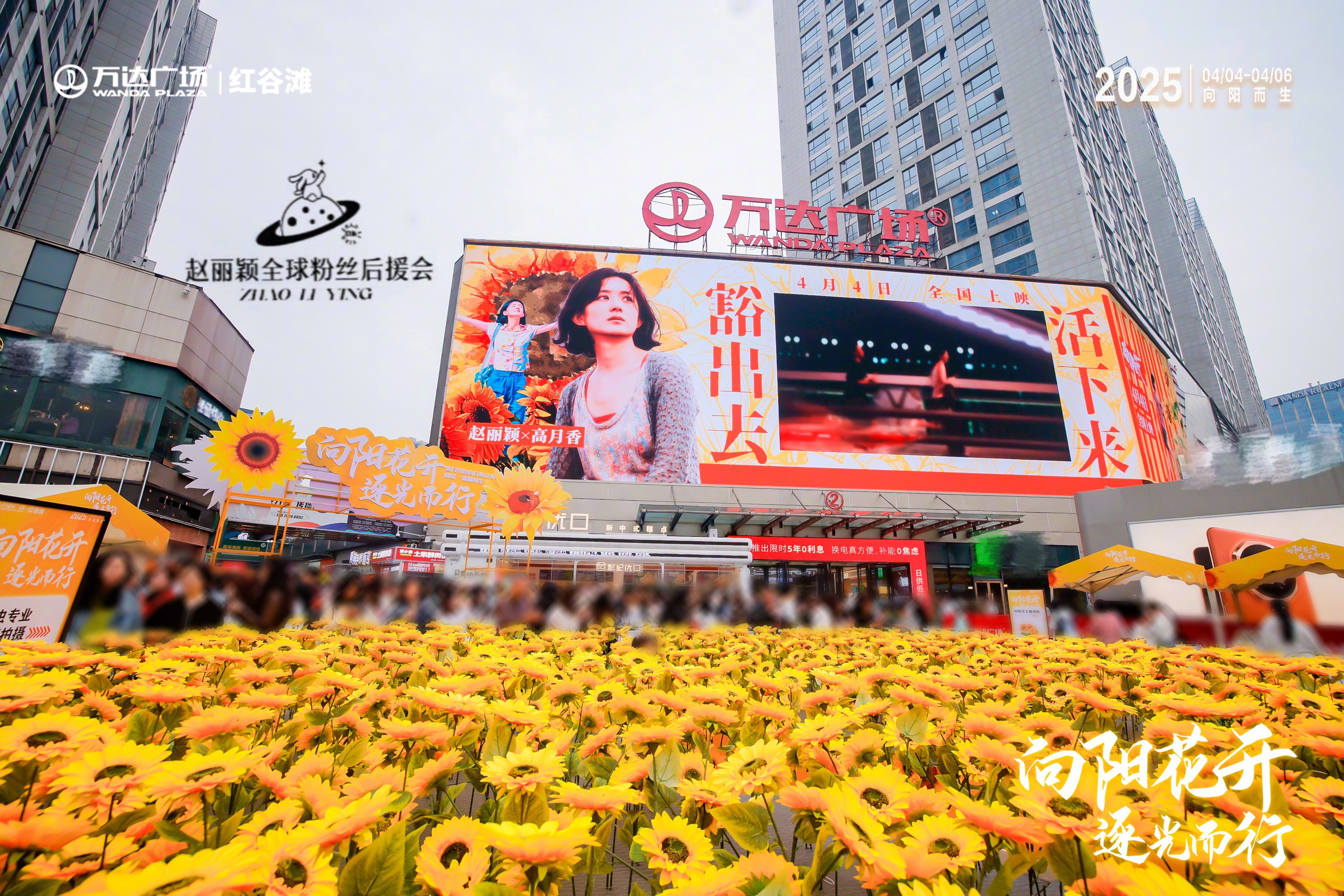 南昌向阳花海 [兔子]赵丽颖 电影向阳花丨赵丽颖电影《向阳·花》× 南昌向阳花海