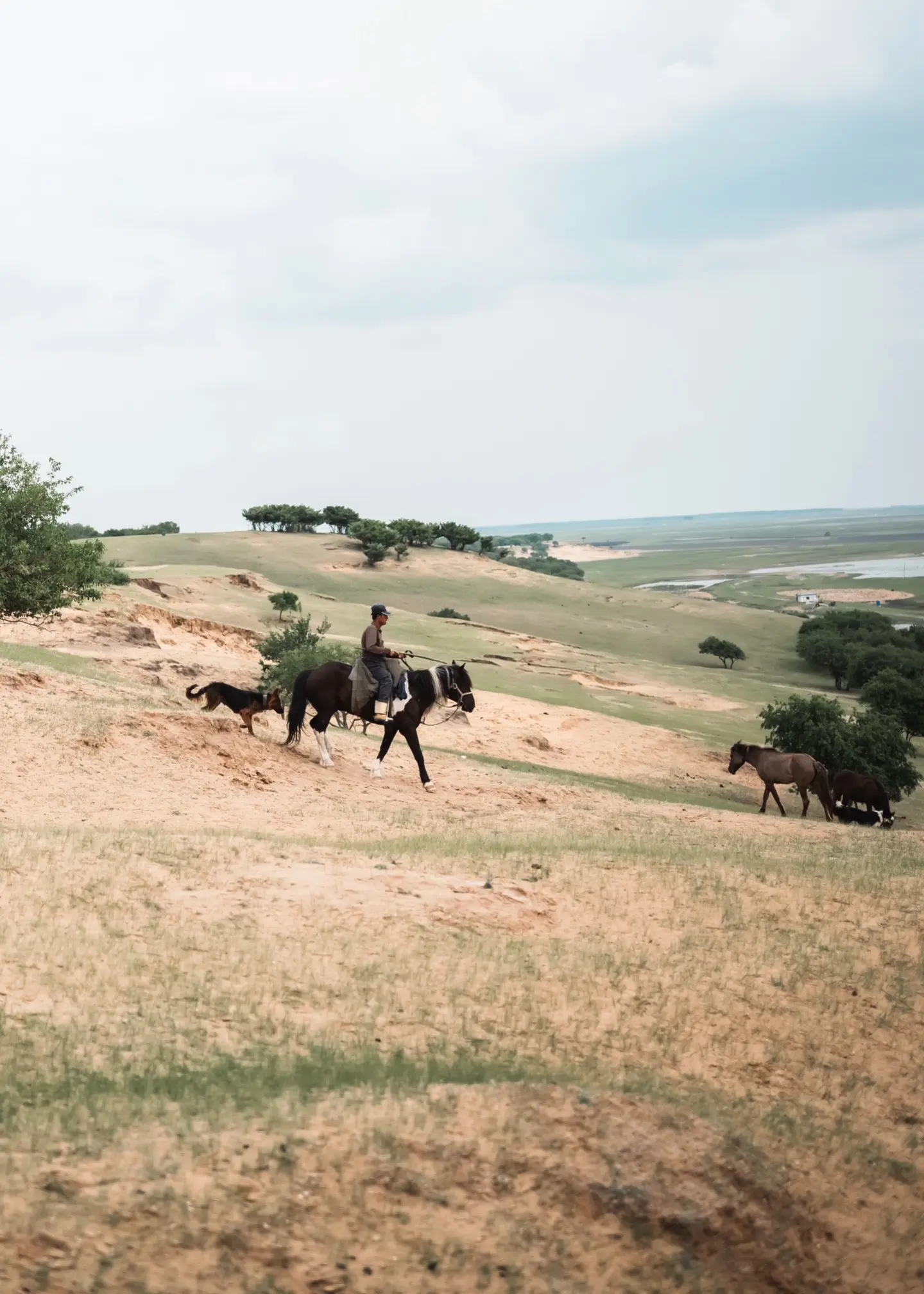 反向旅行真的很快乐。