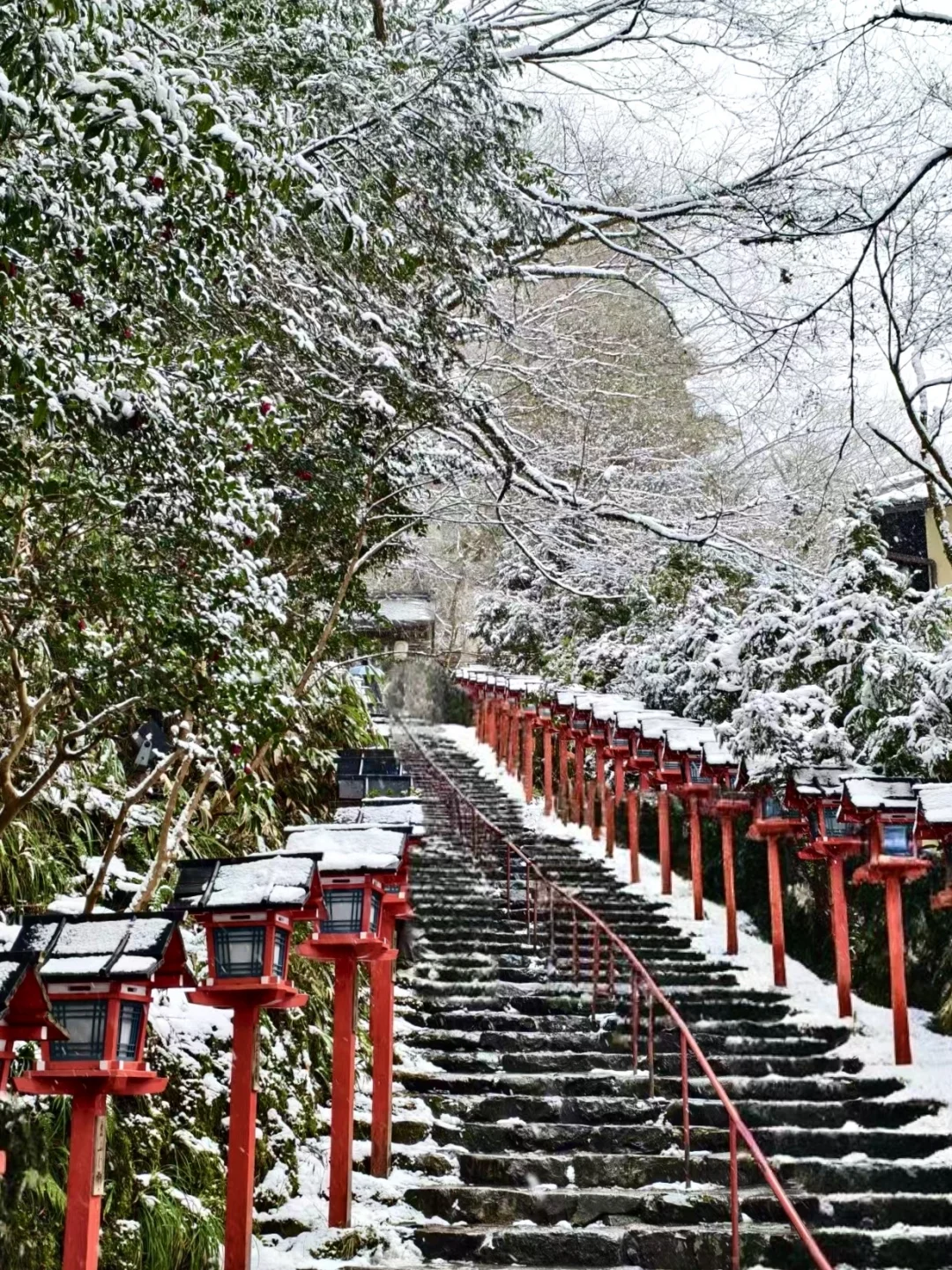 贵船神社！今日暴雪！！！