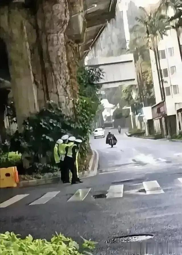 我啥也不敢说[捂脸][捂脸]就觉得这照片拍的挺好的[赞][赞]