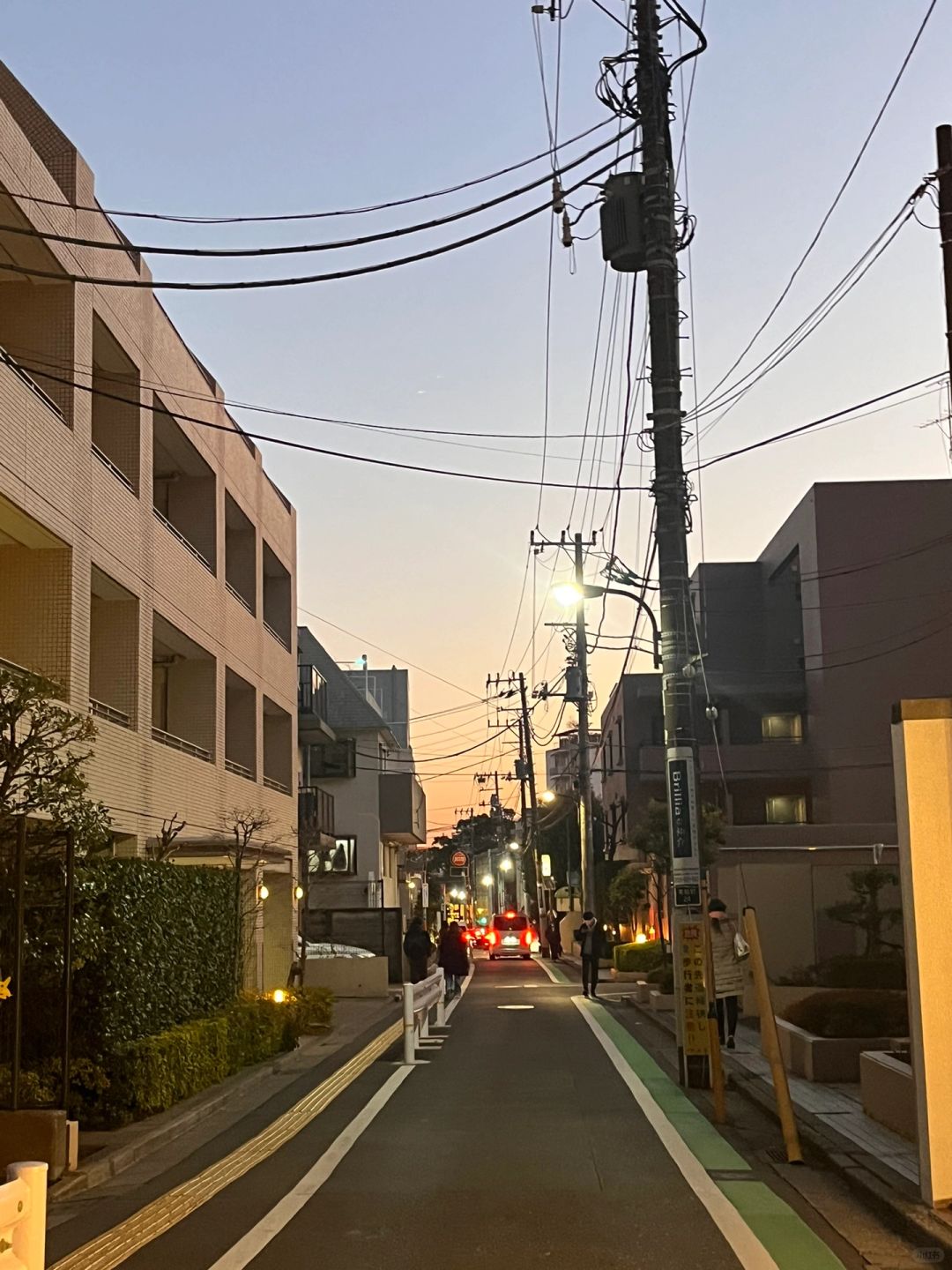 有没有东京出发的旅游团尾单啊