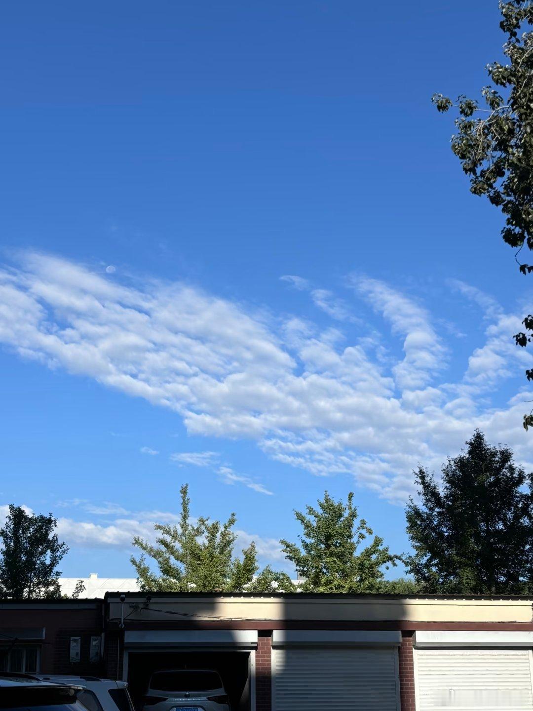 微博科学抗敏行动过敏和普通感冒怎么区分 你听说过血管运动性鼻炎吗？鼻炎不是一种病