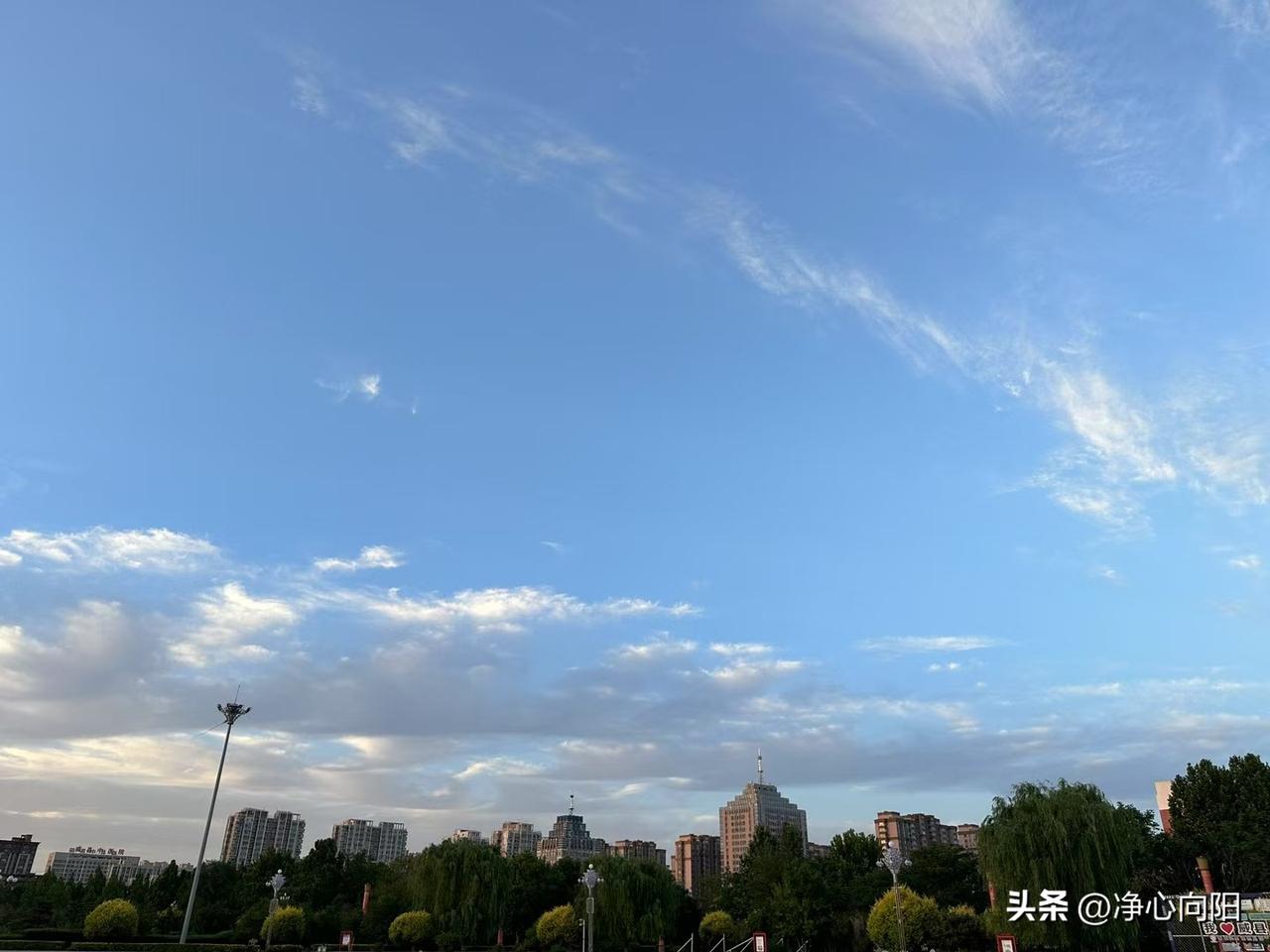 脑梗的婆婆烧了一辈子香，好像从嫁过来就开始烧香拜佛。自从去年脑梗后，再也烧不动香