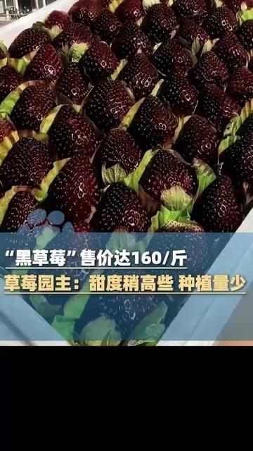 160元一斤的“黑草莓”，是物有所值还是消费主义的新童话？

近日，一种通体深紫