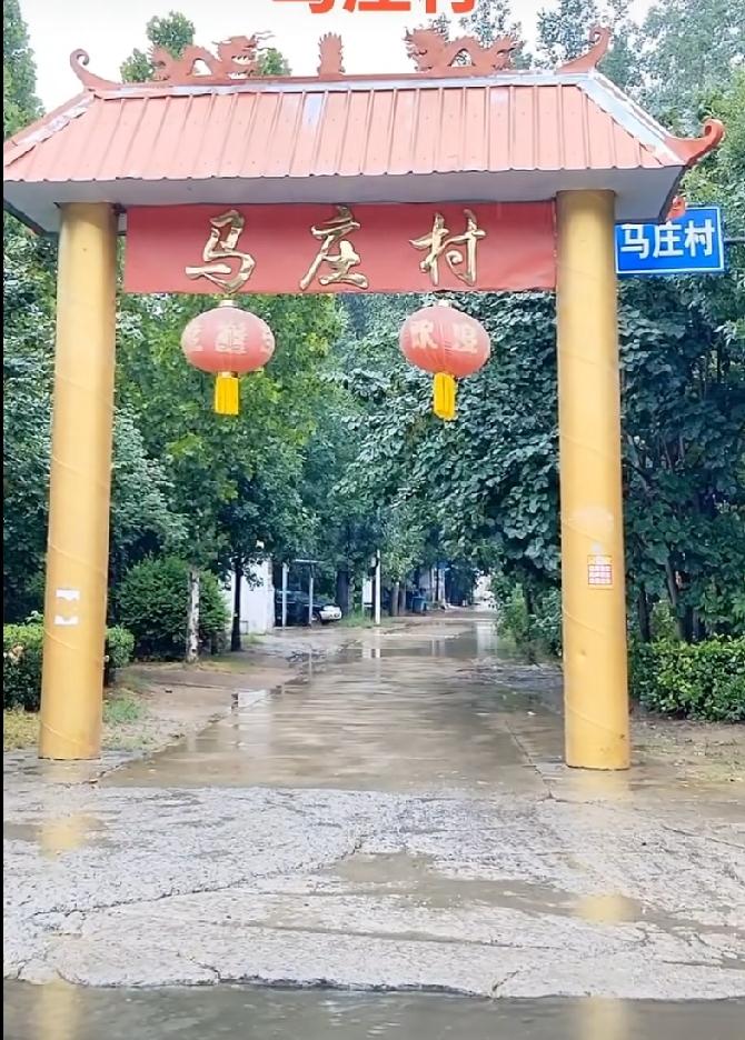 濮阳马庄遗址，省级文保单位
‌地理位置‌：河南省濮阳市开发区王助镇马庄村西、濮上