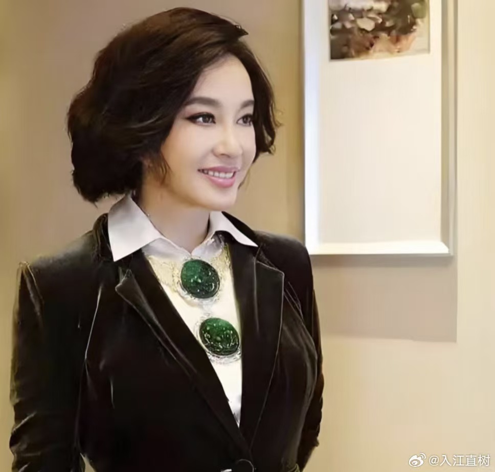 刘晓庆红色皮衣学院风 75岁的刘晓庆穿着红色皮衣配学院风套装出现在活动上，这个画