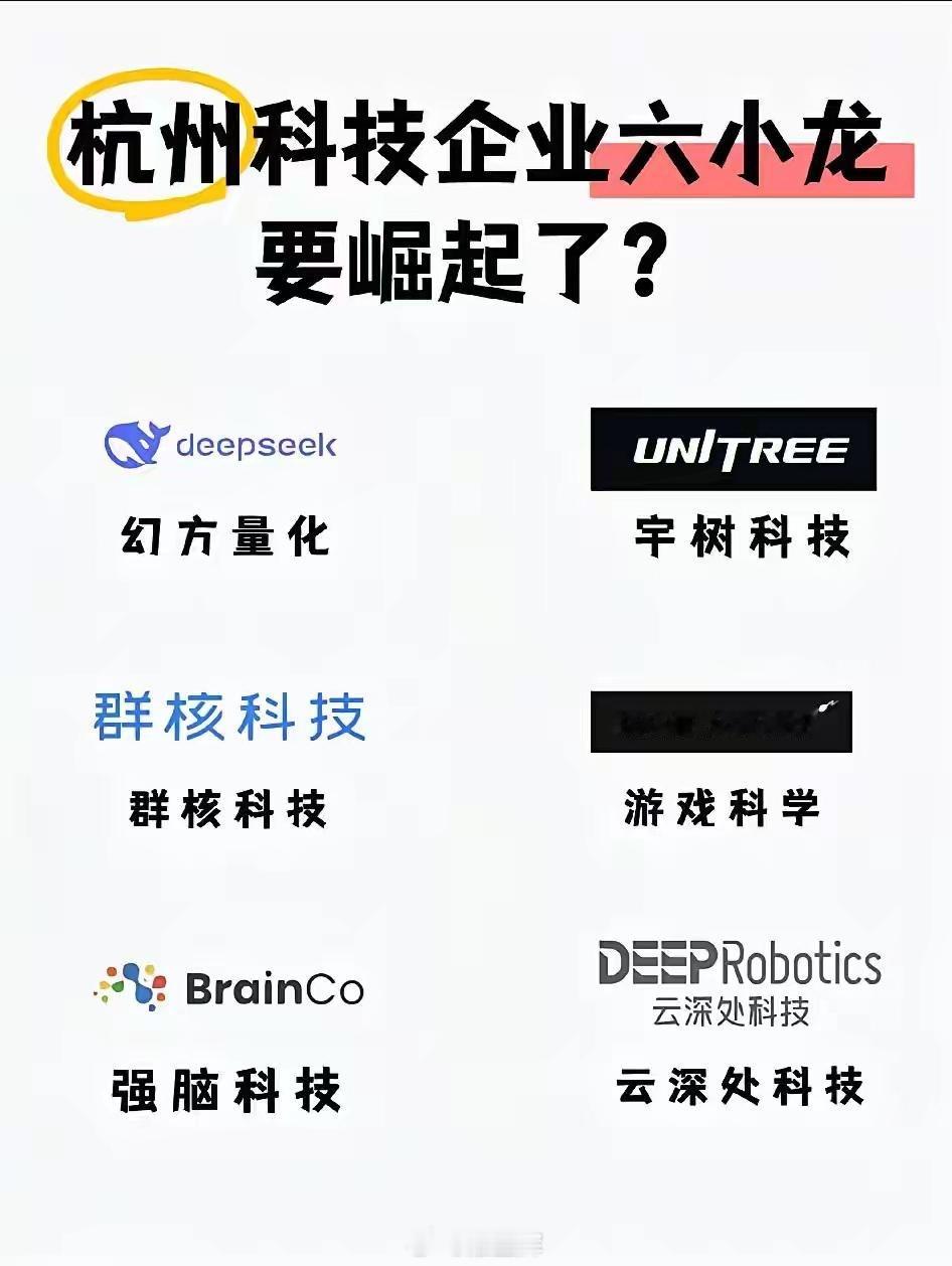 DeepSeek 杭州科技企业六小龙：1、Deepseek（幻方量化），专注算法