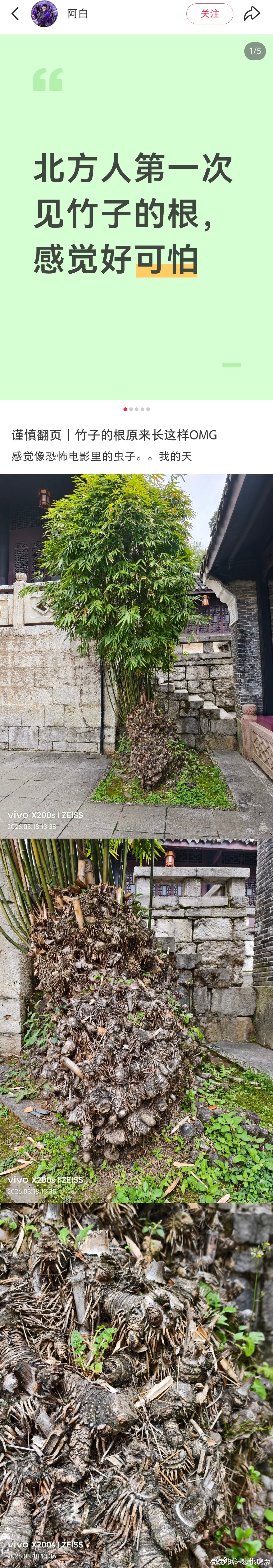 现在的互联网，竹子都能因为根系发达被网暴