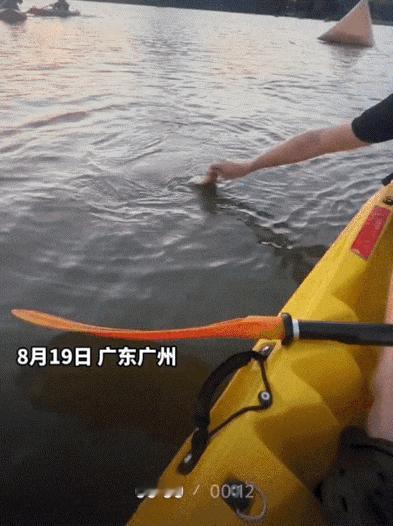 万万没想到，男子和女友到白云湖公园玩桨板，本来就想悠闲逛湖散心，划到湖中间，水面