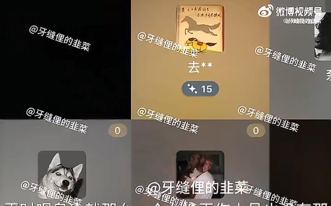 笑不活了！刘大锤这波发言太敢了！鞠婧祎简直是内娱清流模板，独来独往只带一个女助理