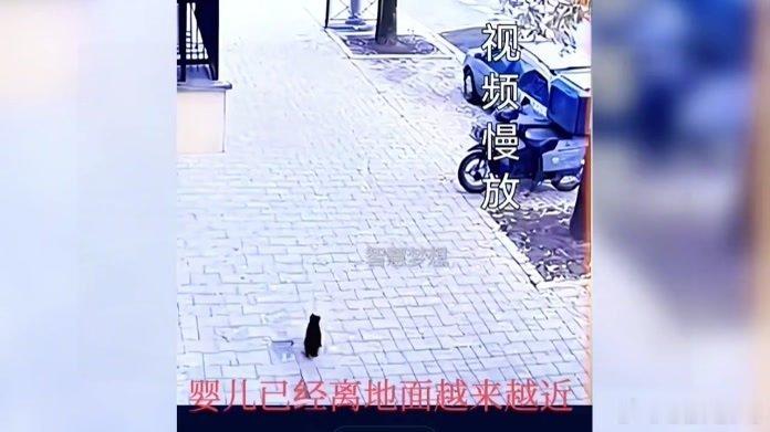 凤凰新闻【3楼婴儿坠楼瞬间，流浪猫飞身扑救！家长抱着孩子追着猫道谢】3楼婴儿坠楼