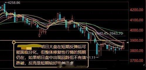 短期反弹之后或迎分化，回踩不有效跌破即是低吸机会今日市场走出震荡反弹行情，三大指