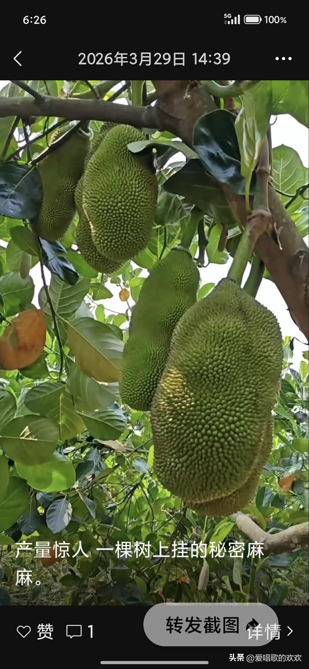 我选择顾家尽责。

这辈子，我就是太顾家太尽责，而把自己活成了离婚的下场。

我