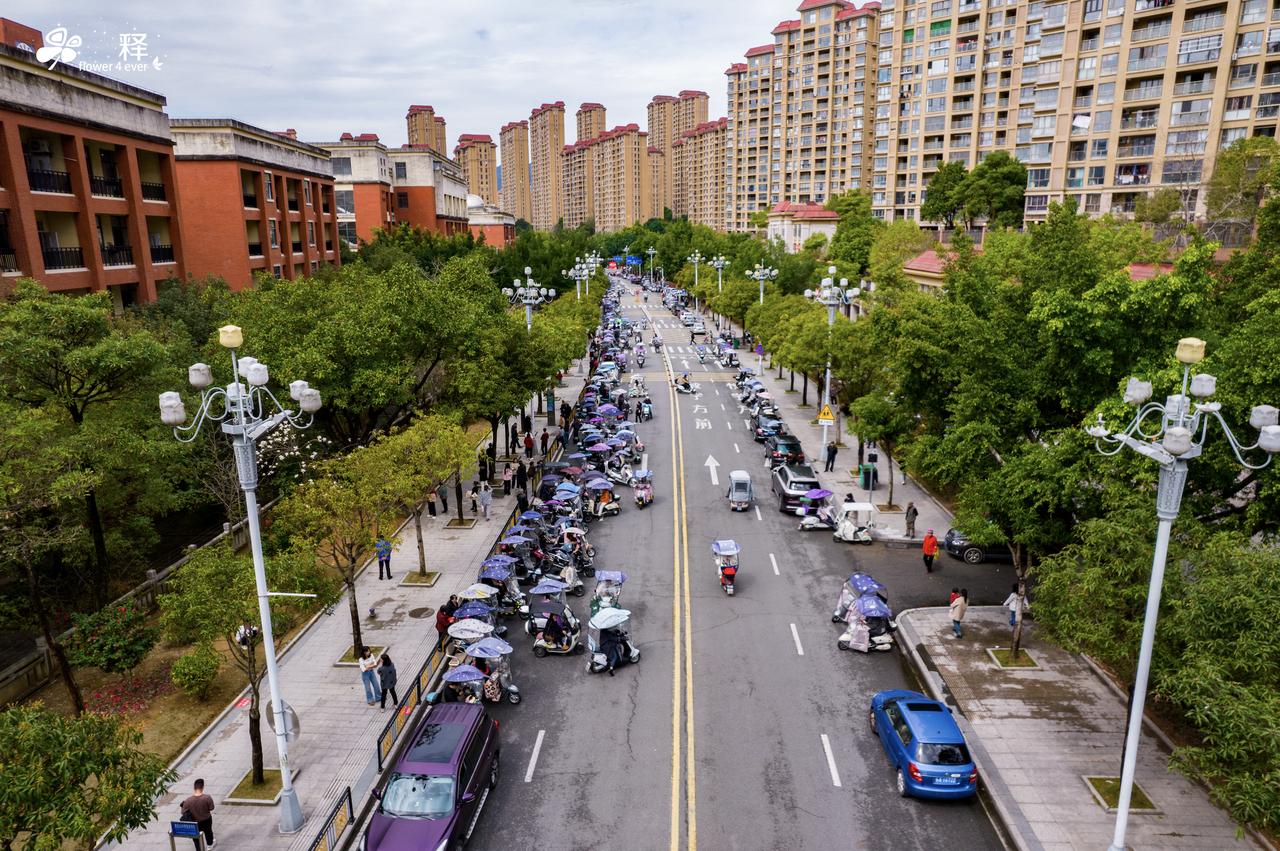 房子的划片不追求重点学校，但是不能太差，否则会耽误孩子一生
我小学是茶园山中心小