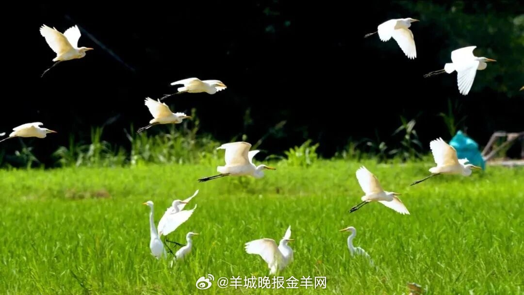 #晚安#愿你不留遗憾，不畏考验，自信奔向天高海阔的未来。 