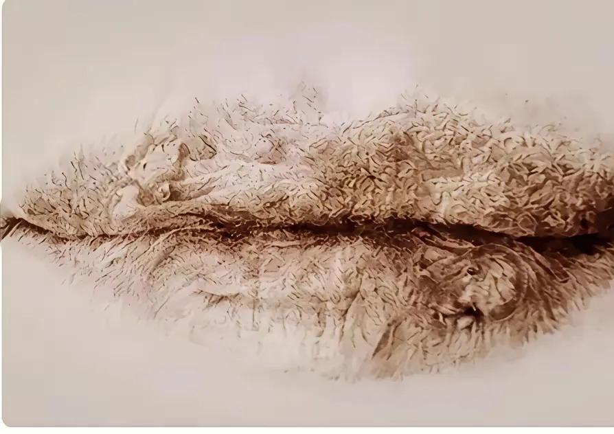 哇，这图太有创意了！👀 我第一眼看到的是嘴唇，你呢？分享一下你的选择吧！💋