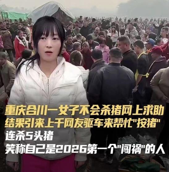 【网络奇迹点燃“年味”重生】一场因“杀年猪”而引发的狂欢，竟让上千陌生人齐聚一堂