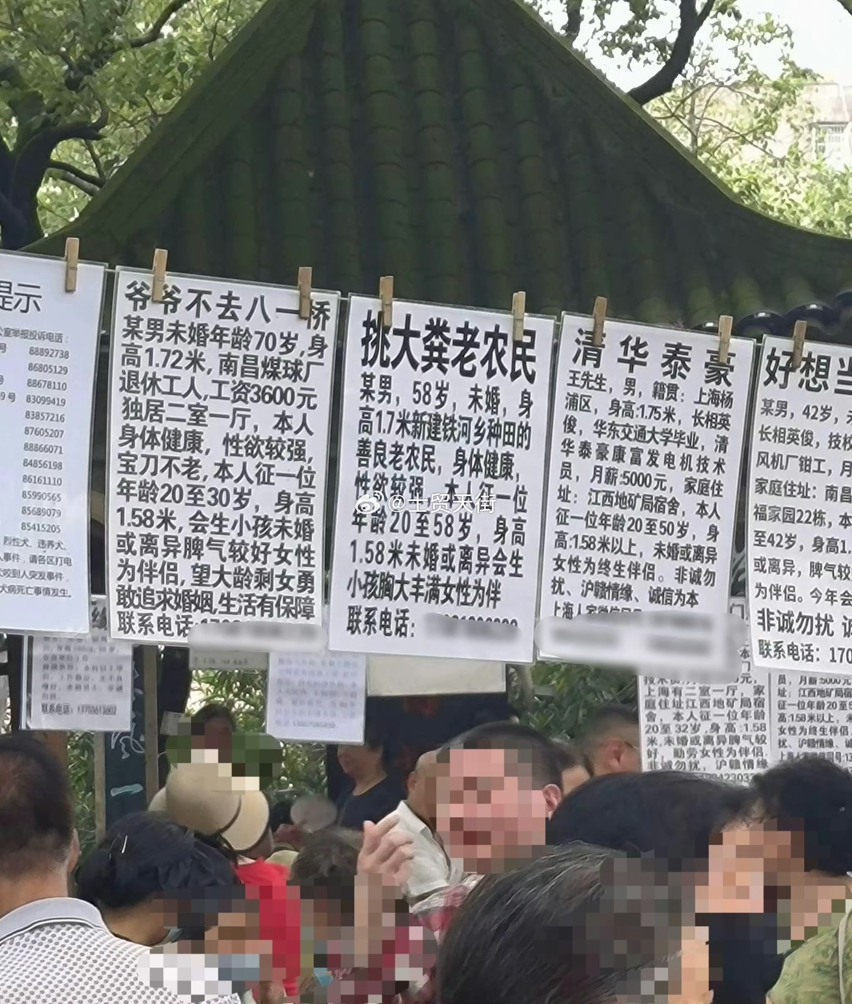 公园相亲角 ​​​