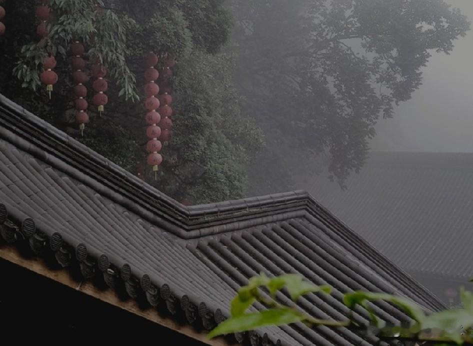 “星子落入凡间，碎成了雨”



离开的人——
像一颗流星划过生命的苍穹
短暂—