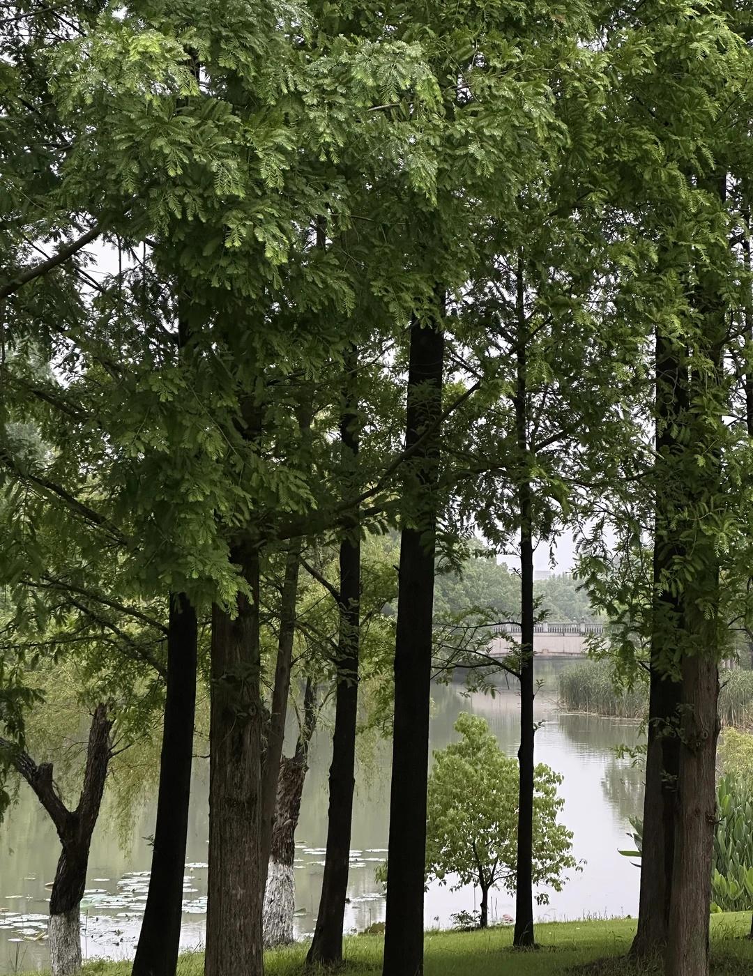 上海开始阴湿
下雨天，拖延症复发。