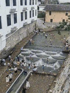我们村有这样的条件 但是没有这样的村干部[泪奔]